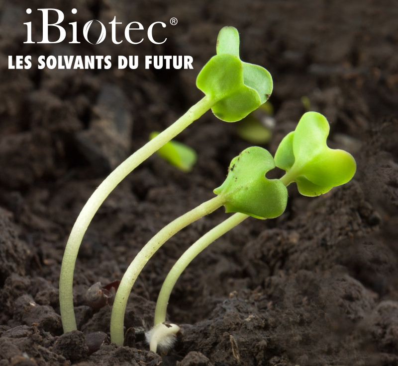 TEC INDUSTRIES fabricant de solvants industriels alternatifs pour le remplacement des CMR propose une gamme &eacute;tendue. Substituts au dichlorom&eacute;thane, &agrave; l&rsquo;ac&eacute;tone, au xyl&egrave;ne, au tolu&egrave;ne. Solvants sans pictogramme de danger, sans COV, sans PRP. Solvants biod&eacute;gradables. Solvants verts biosourc&eacute;s .
